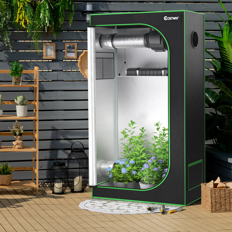 Hydroponic indoor 2025 grow tent